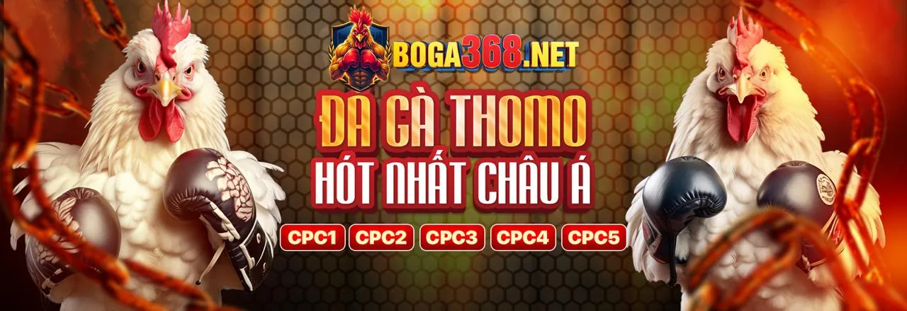 Hình ảnh minh họa chính sách quyền riêng tư của bet789