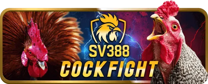 Hoàn Trả Thể Thao bet789